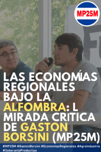 Gaston Borsini y las economias regionales