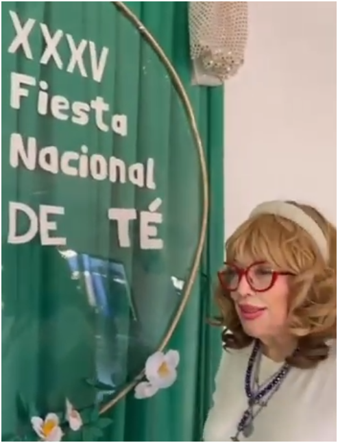 Captura de pantalla 2026 03 24 152237