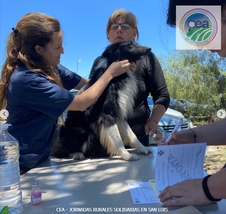MP25M, CEA, Mervak y HMA4 fortalecen la producción agropecuaria con jornadas rurales solidarias en Mendoza, San Luis y Santiago del Estero 21 CEA Jornadas Rurales Solidarias en San Luis 3 resultado