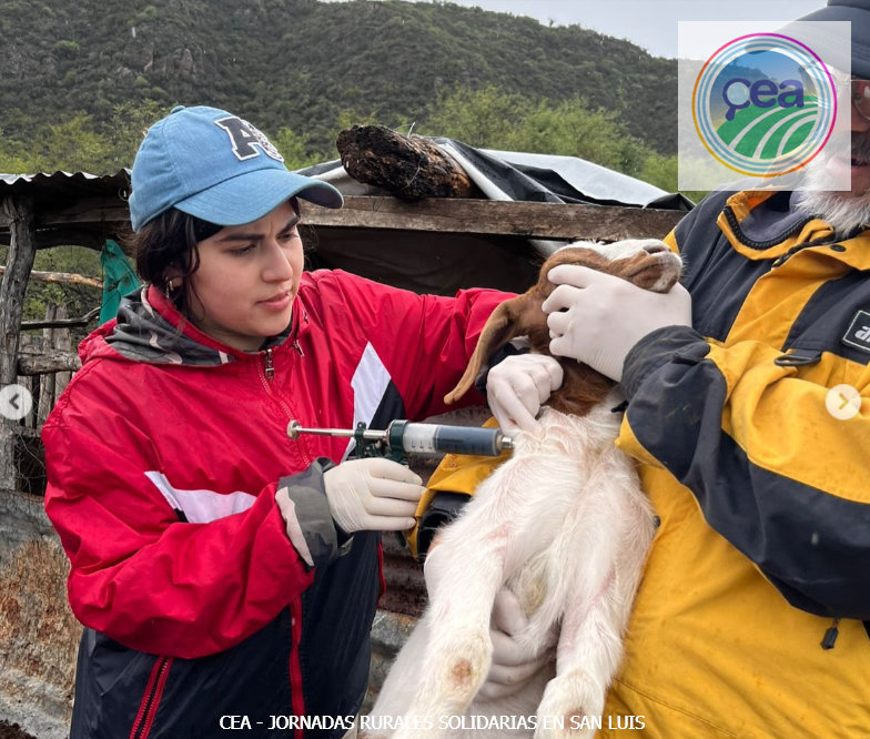 MP25M, CEA, Mervak y HMA4 fortalecen la producción agropecuaria con jornadas rurales solidarias en Mendoza, San Luis y Santiago del Estero 23 Una vez más, la universidad pública se pone el mameluco y sale al territorio.
En La Crisálida, estudiantes, productores y docentes compartimos días de trabajo, aprendizaje y comunidad.