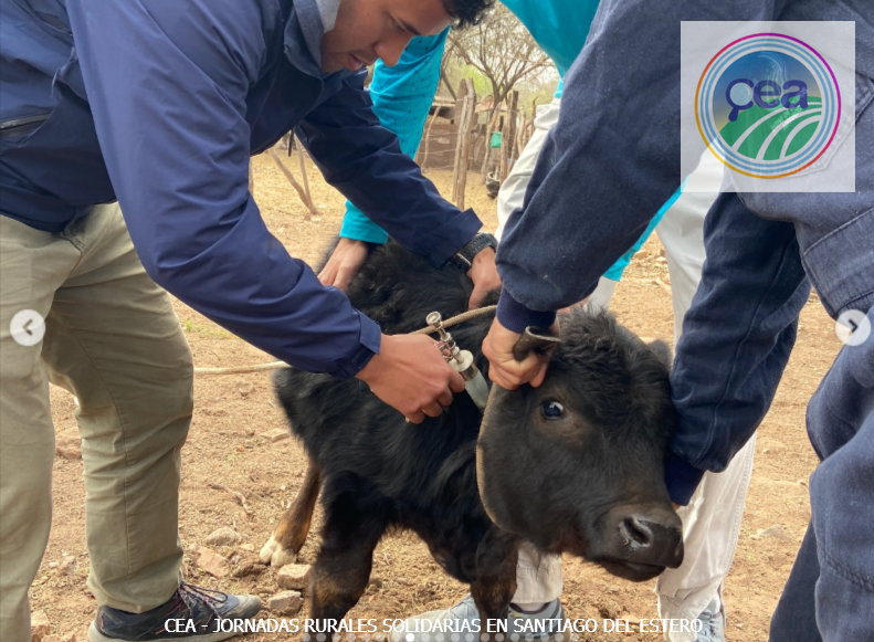 MP25M, CEA, Mervak y HMA4 fortalecen la producción agropecuaria con jornadas rurales solidarias en Mendoza, San Luis y Santiago del Estero 26 JRVS EN SANTIAGO DEL ESTERO 2 resultado