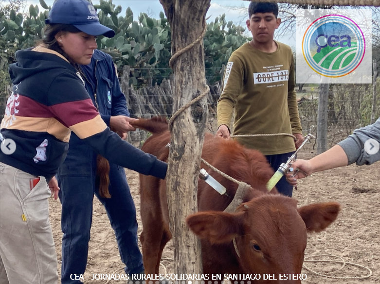 MP25M, CEA, Mervak y HMA4 fortalecen la producción agropecuaria con jornadas rurales solidarias en Mendoza, San Luis y Santiago del Estero 27 JRVS EN SANTIAGO DEL ESTERO 3 resultado