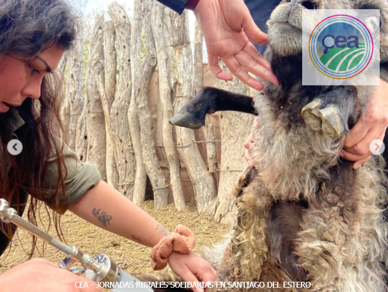 MP25M, CEA, Mervak y HMA4 fortalecen la producción agropecuaria con jornadas rurales solidarias en Mendoza, San Luis y Santiago del Estero 28 JRVS EN SANTIAGO DEL ESTERO 4 resultado