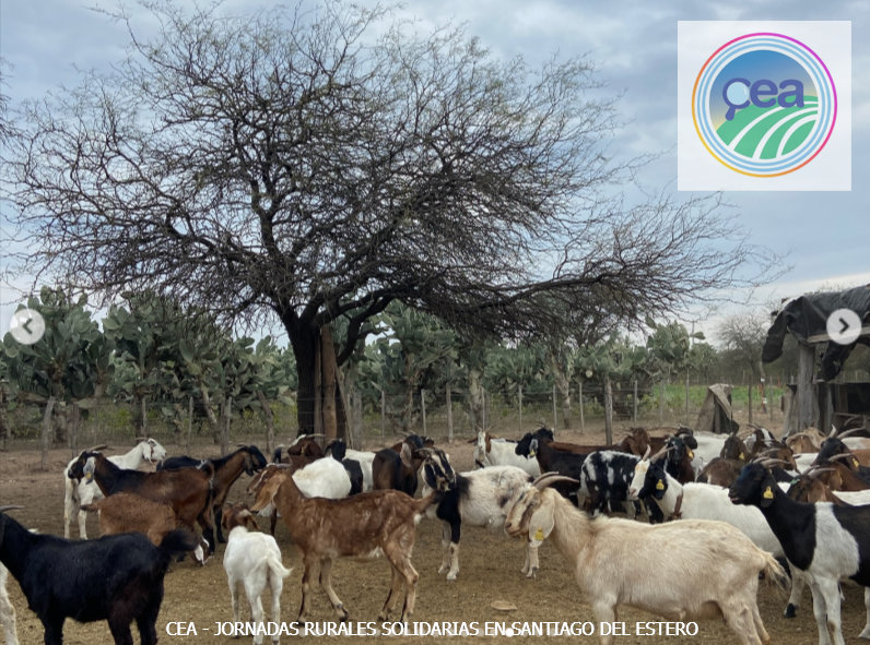 MP25M, CEA, Mervak y HMA4 fortalecen la producción agropecuaria con jornadas rurales solidarias en Mendoza, San Luis y Santiago del Estero 29 JRVS EN SANTIAGO DEL ESTERO 5 resultado