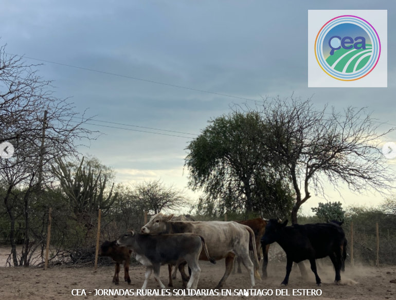 MP25M, CEA, Mervak y HMA4 fortalecen la producción agropecuaria con jornadas rurales solidarias en Mendoza, San Luis y Santiago del Estero 31 JRVS EN SANTIAGO DEL ESTERO 8 resultado