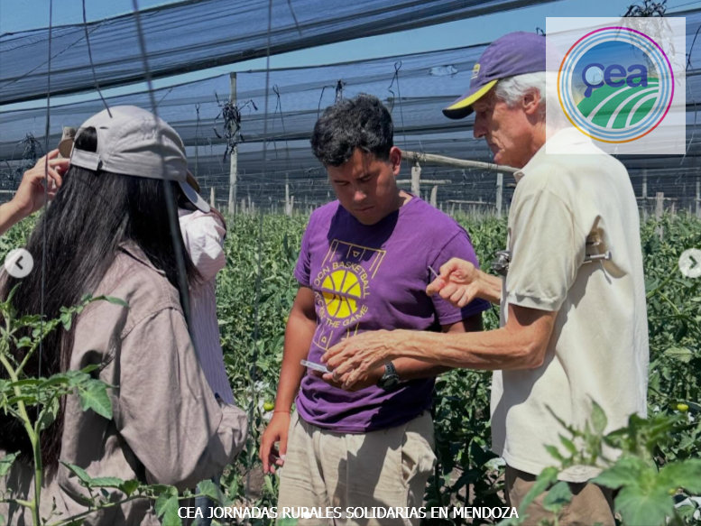 MP25M, CEA, Mervak y HMA4 fortalecen la producción agropecuaria con jornadas rurales solidarias en Mendoza, San Luis y Santiago del Estero 13 Jornadas Rurales Solidarias en Mendoza 4 resultado