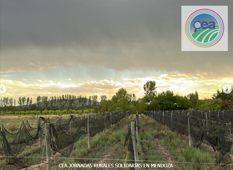 MP25M, CEA, Mervak y HMA4 fortalecen la producción agropecuaria con jornadas rurales solidarias en Mendoza, San Luis y Santiago del Estero 14 Jornadas Rurales Solidarias en Mendoza 5 resultado