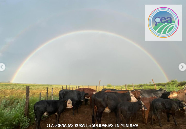 MP25M, CEA, Mervak y HMA4 fortalecen la producción agropecuaria con jornadas rurales solidarias en Mendoza, San Luis y Santiago del Estero 15 Jornadas Rurales Solidarias en Mendoza 6 resultado