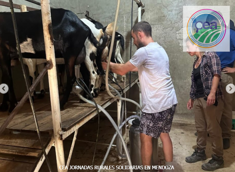 MP25M, CEA, Mervak y HMA4 fortalecen la producción agropecuaria con jornadas rurales solidarias en Mendoza, San Luis y Santiago del Estero 17 Jornadas Rurales Solidarias en Mendoza 8 resultado