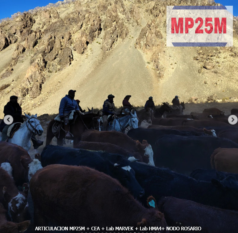 MP25M, CEA, Mervak y HMA4 fortalecen la producción agropecuaria con jornadas rurales solidarias en Mendoza, San Luis y Santiago del Estero 9 Cómo otro sueño compartido, haciendo común lo cotidiano, el mate, el fogón, las risas y la esperanza de un buen año productivo.
Cómo común es nuestra cordillera, sus valles, su riqueza, su agua dulce y sus Glaciares, aunque esté cada vez más amenazada.
Sí amenazada, de ser explotada y apropiada por un puñado de capitales extranjeros que no saben del abrazo colectivo, que no conocen del sacrificio y de los riesgos de quienes la habitan.
