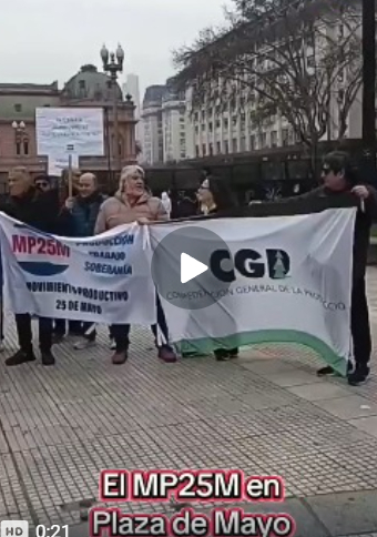 MP25M PRESENTE CON OPINION